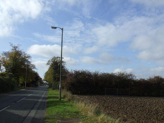 thorneyrd-today