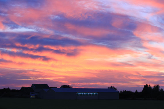 Looking west across Dalton seeds